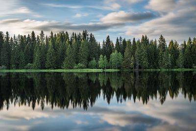 Reflection of trees in lake against sky