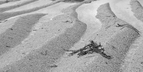 Full frame shot of water