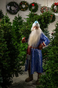 Russian santa claus buys a christmas tree in the store