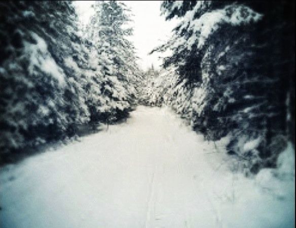 the way forward, diminishing perspective, snow, vanishing point, weather, winter, sky, cold temperature, road, transportation, nature, tranquility, white color, covering, day, outdoors, tranquil scene, cloud - sky, no people, empty road