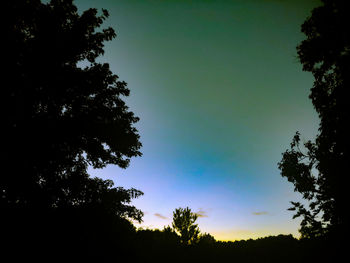 Low angle view of silhouette trees against sky