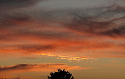 Low angle view of silhouette trees against dramatic sky