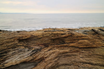 Close-up of rocks on beach against sky during sunset