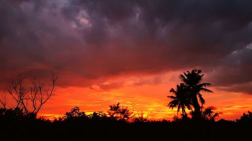 Silhouette trees against dramatic sky during sunset