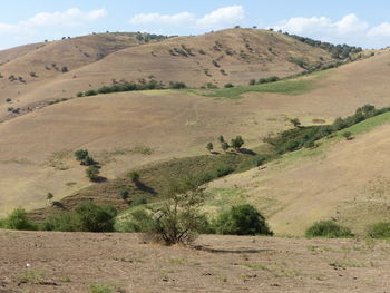 Scenic view of landscape against sky