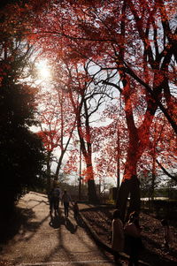 People walking on footpath