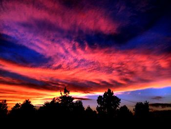 Silhouette of trees against cloudy sky