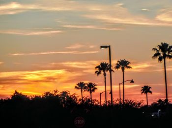 Silhouette trees against sky during sunset