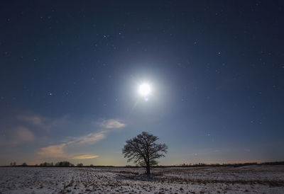 Scenic view of sea against sky at night