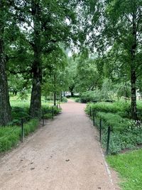 Empty road amidst trees in park