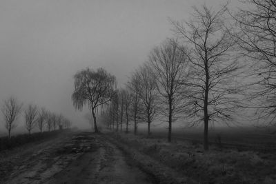 Road amidst bare trees on field against sky