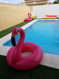 Close-up of stuffed toy in swimming pool