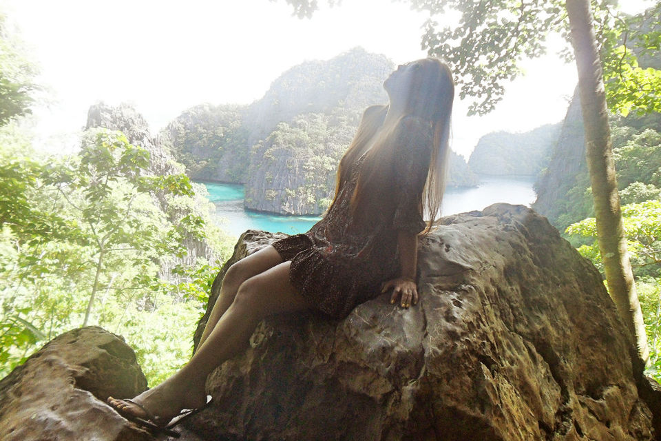 tree, nature, tranquility, water, beauty in nature, clear sky, sunlight, tranquil scene, day, rock - object, scenics, close-up, tree trunk, no people, outdoors, mountain, growth, idyllic, plant, branch