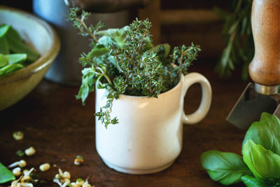 Close-up of herbs in coffee cup on table