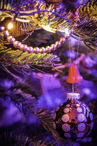 Close-up of illuminated christmas tree