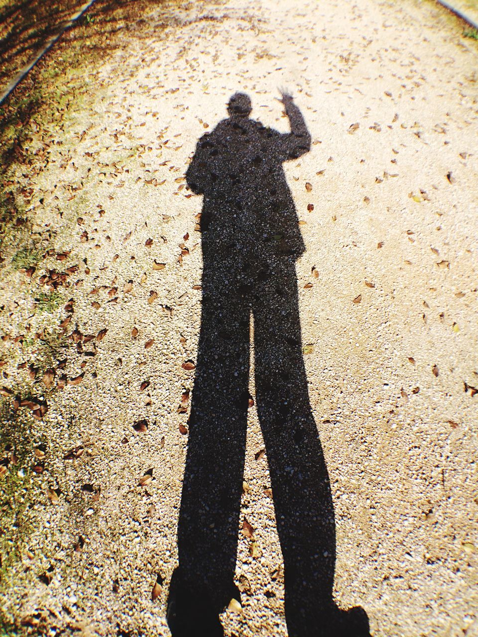 SHADOW OF MAN ON ROAD