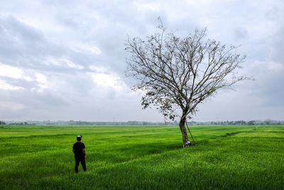 Picture of young man relaxing in paddy field while looking at a single tree.