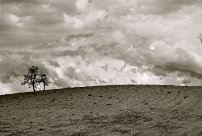 Scenic view of landscape against cloudy sky