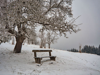 Bench by trees on snow covered field during winter