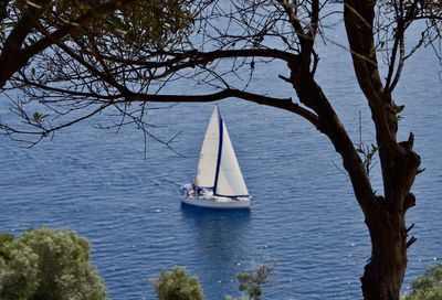 Sailboat sailing on sea