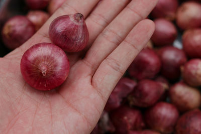 Close-up of hand holding strawberries