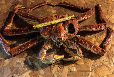 Close-up of food