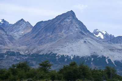 Lapataia bay landscape, tierra del fuego. the landscape of the atlantic ocean in ushuaia, argentina 