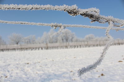 Close-up of snow on field against sky