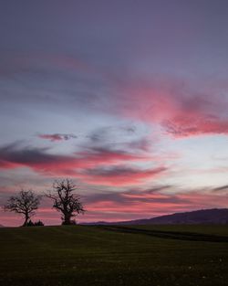 Silhouette trees on field against sky at sunset