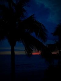 Silhouette palm trees by sea against sky