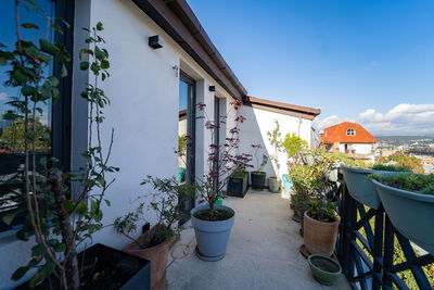 Potted plants on balcony of building