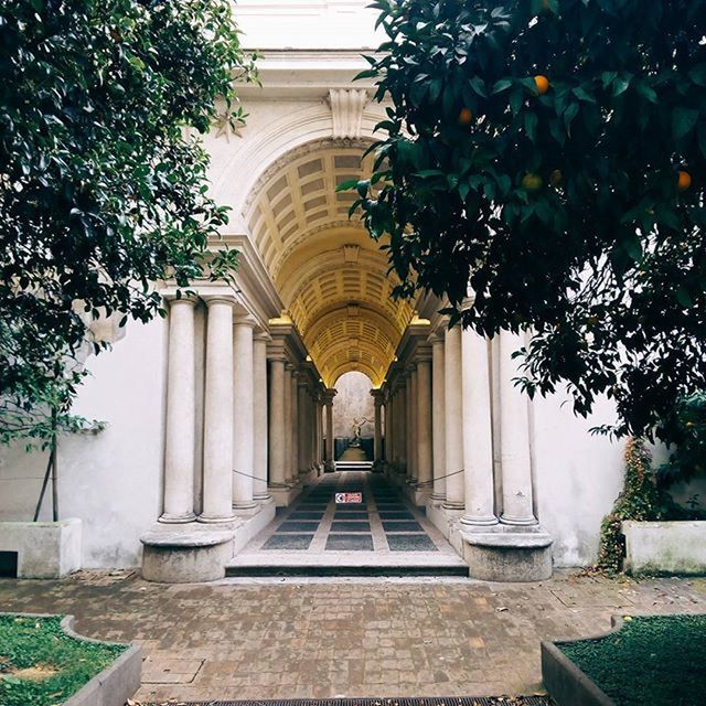 architecture, built structure, building exterior, tree, the way forward, architectural column, arch, entrance, day, plant, in a row, growth, column, statue, no people, facade, outdoors, building, sunlight, diminishing perspective