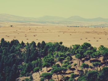 Scenic view of landscape against clear sky