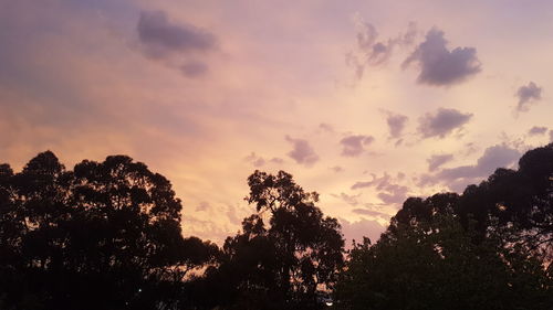Low angle view of silhouette trees against sky at sunset