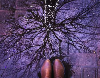 Low section of woman with bare tree