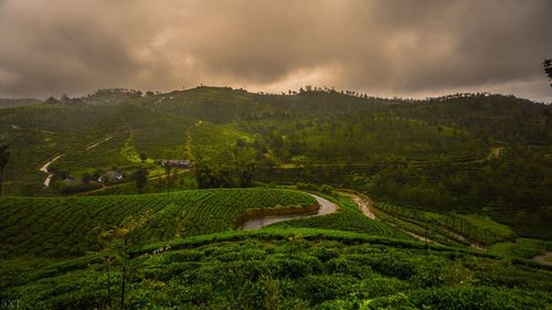 Scenic view of agricultural field against sky