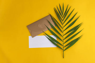 Directly above shot of papers against yellow background