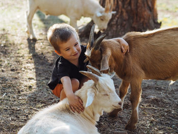 Pretty caucasian boy hugging two little goats on a farm