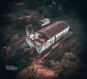 High angle view of old tree by building