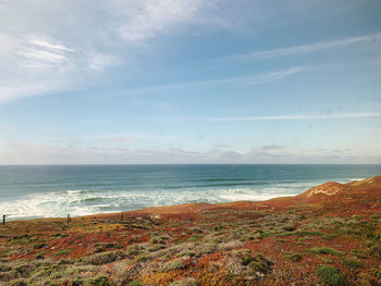 Scenic view of sea against sky