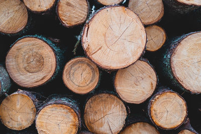 Full frame shot of stacked logs