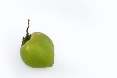 Close-up of green fruit against white background