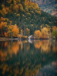 Scenic view of lake in forest during autumn