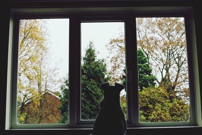 Silhouette of person looking through window