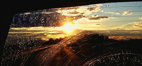 Close-up of landscape at sunset