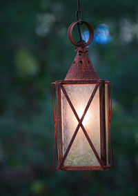 Close-up of lantern hanging on tree