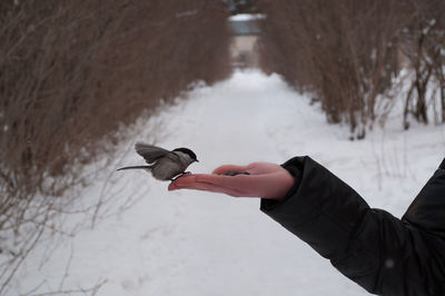 Low angle view of hand on snow
