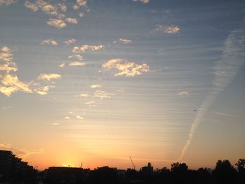 Low angle view of silhouette trees against sky during sunset