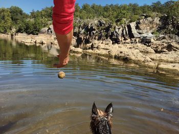 Low section of person with dog swimming in lake