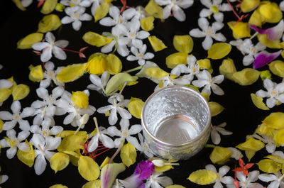 High angle view of bowl and flowers floating on water